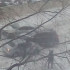 Массовое ДТП произошло в метель на улице Беговой в Воронеже
