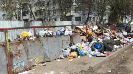 В Воронежской области коммунальщик пойдёт под суд за вывоз мусора без лицензии