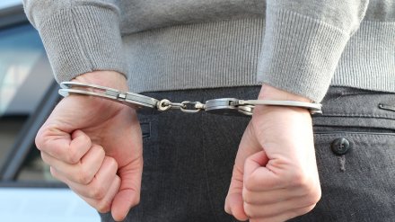 Воронежец пойдёт под суд за покушение на сбыт рекордной партии наркотиков