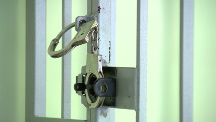 Ещё двоим фигурантам дела о сексе с девочками продлили арест в Воронеже