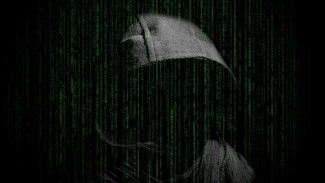 В рассылке о вспышке дизентерии на военном полигоне под Воронежем обвинили хакеров