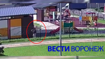 Воронежцев возмутило поведение воспитанников детсада в одном из ЖК