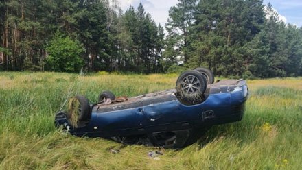 В Воронежской области в ДТП с пьяным водителем пострадал трёхлетний мальчик