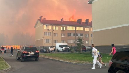 Вертолёт МЧС вылетел на тушение крупного пожара в воронежском Ямном