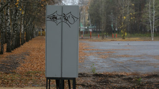 Вандалы и воры начали орудовать в воронежском «Танаисе» во время реконструкции