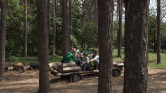 «Аксиому» осадили в стремлении снести детскую площадку в Северном лесу Воронежа