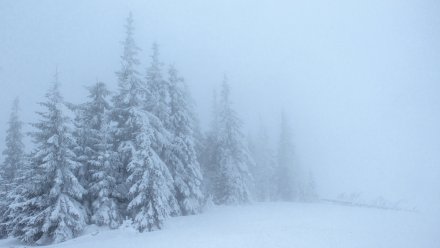 Стало известно, дойдут ли до Воронежа мощные московские снегопады