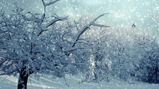 Воронежские филологи рассказали, что такое «ливневый снегопад»