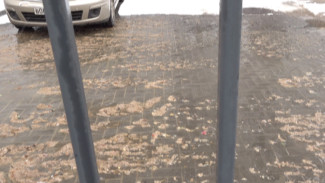 Воронежцы пожаловались на вечные фекальные потопы в ЖК бизнес-класса в центре города