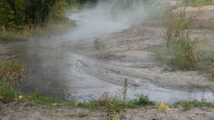 Воронежцы сообщили о хлынувшей в водохранилище «горячей реке»