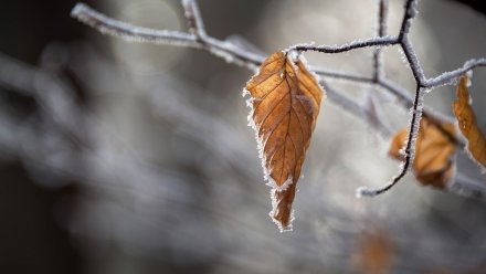 Прогноз погоды на 17.03.2022