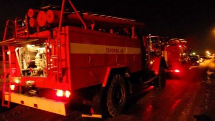 На пожаре в воронежской квартире погибли 6-летняя девочка и 60-летняя женщина