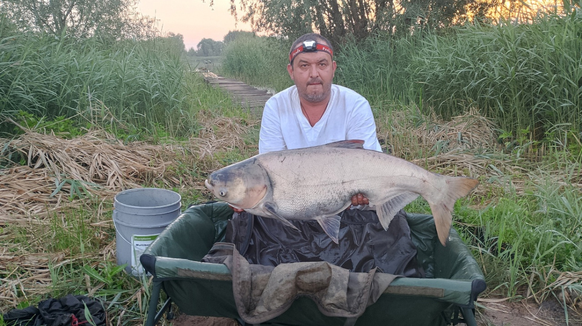 Мужчина поймал 16-килограммового толстолобика в воронежском пруду |  09.07.2024 | Воронеж - БезФормата