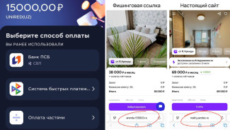 Воронежцам рассказали об основных схемах аферистов через поддельные платёжные формы