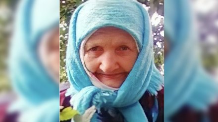 В Воронежской области без вести пропала 93-летняя старушка с провалами в памяти