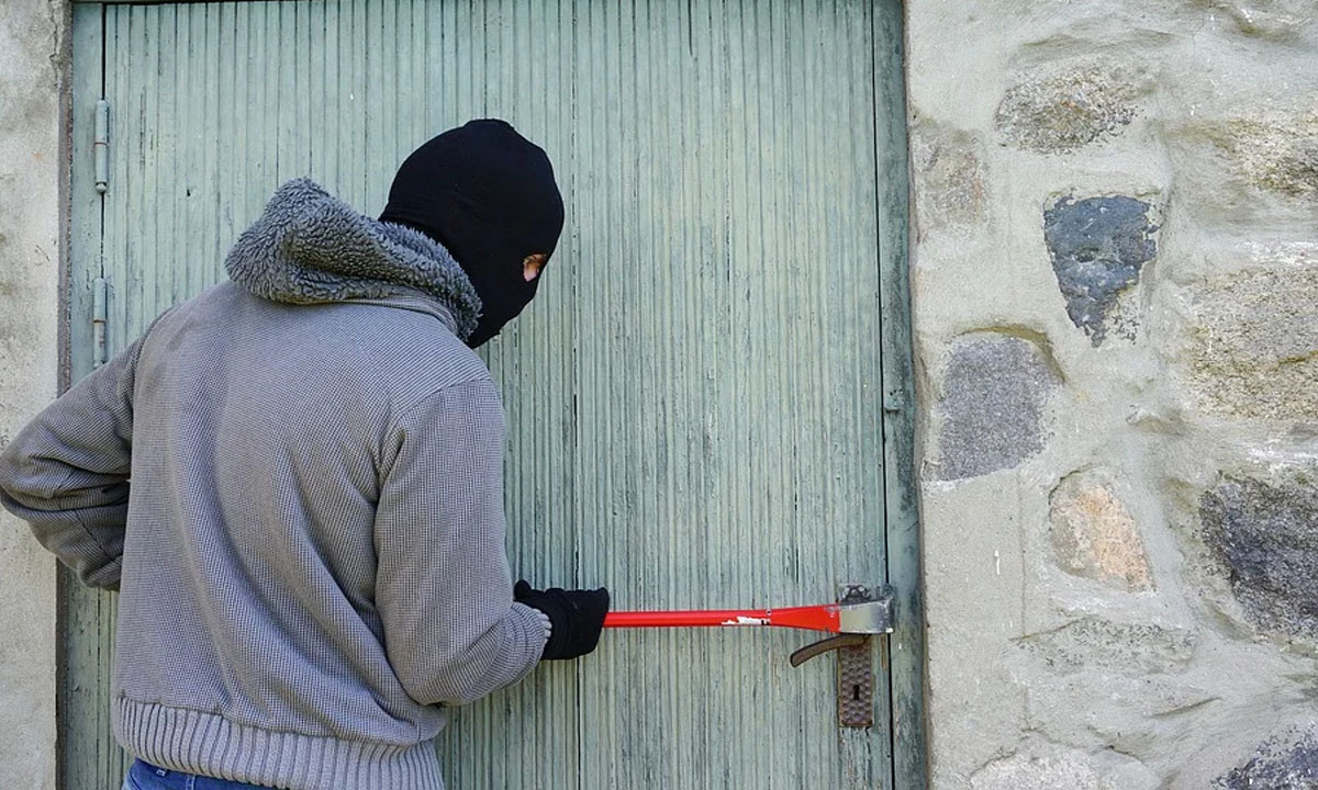 Эксперт раскрыл портрет типичного вора в Воронеже – Новости Воронежа и  Воронежской области – Вести Воронеж