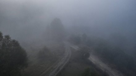 Воронежских автомобилистов предупредили о тумане на дорогах