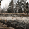 Власти опровергли фейк о разбросанных украинцами в Воронеже бомбах