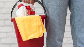 В Воронежской области мать-алиментщица отказалась работать уборщицей и попала в колонию