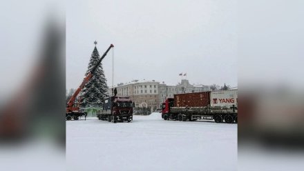 В Воронеже начали разбирать главную новогоднюю ёлку