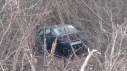 В Воронежской области «десятка» вылетела с трассы в лес: водитель погиб