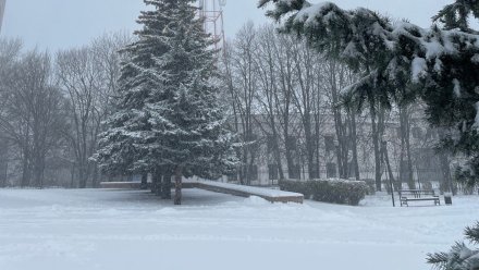 Воронежцам могут разрешить опаздывать на работу из-за плохой погоды