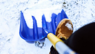 Воронежских депутатов призвали помочь горожанам в уборке снега