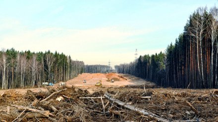 В Воронеже утвердили планировку участка под строительство дороги к микрорайону «Гардарика»