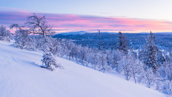 Синоптики рассказали, дойдёт ли до Воронежа московский снегопад