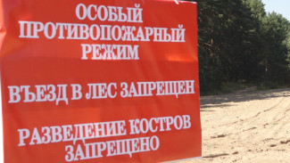 Юг и центр Воронежской области оказались в зоне риска возникновения лесных пожаров