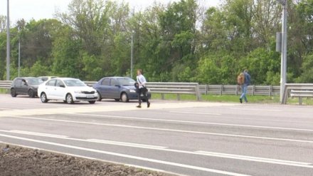 Строительство трёх надземных переходов у «Града» под Воронежем обойдётся в 235 млн рублей