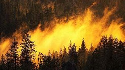 Воронежские синоптики распространили "штормовое предупреждение"