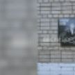 В Воронеже открыли посвящённую Юрию Хою памятную доску