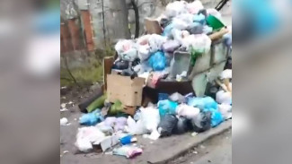 Воронежский депутат предложил директорам УК взять в руки лопаты и заняться уборкой