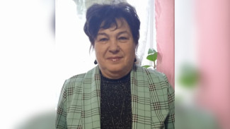 В Воронеже забуксовало расследование уголовного дела о смертельном ДТП на зебре