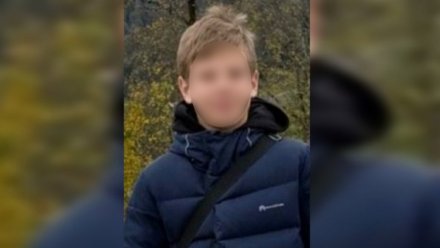 Поиски пропавшего без вести 12-летнего мальчика закрыли в Воронеже