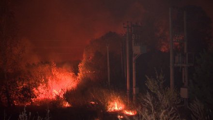 В Воронежской области ландшафтный пожар распространился на 30 га
