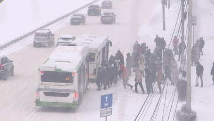 В выходные в Воронежской области похолодает до -27 градусов