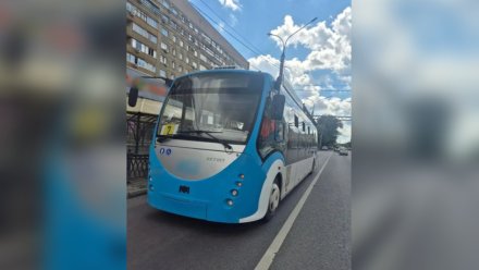 В Воронеже водитель троллейбуса сбила женщину на зебре 