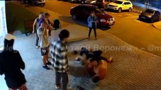 Камеры записали жестокую драку под Воронежем