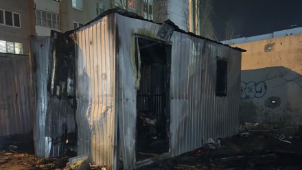 Мужчина и женщина погибли при пожаре на Левом берегу Воронежа