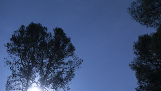 В Воронежской области объявили опасность атаки БПЛА вечером 6 декабря