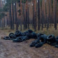 Гору бесхозных шин нашли в воронежском лесу
