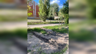 Воронежцы пожаловались на паркующихся на газоне у школы автомобилистов