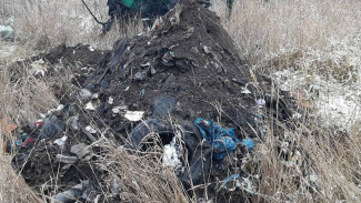 В воронежском райцентре нашли громадную незаконную свалку опасных отходов