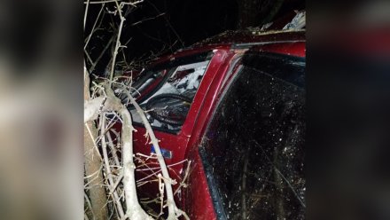 Автомобилист погиб после столкновения «Лады» с большегрузом в Воронежской области