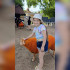 В Воронеже 9-летняя актриса театра драмы стала жертвой нападения огромной крысы