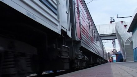 В Воронежской области из-за пьяного пенсионера на 1,5 часа остановили поезд