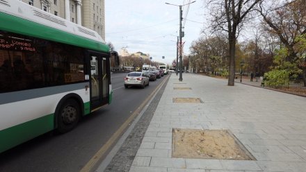 Автомобилистов и пешеходов предупредили об ограничениях в центре Воронежа