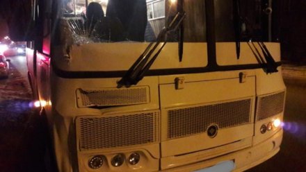 В Воронеже пассажирский автобус насмерть сбил пешехода
